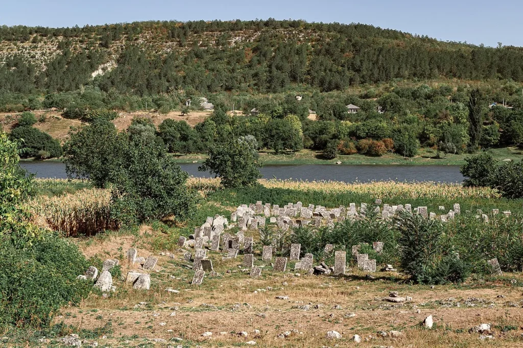 General view of the Vadul-Rașcov Jewish cemetery.