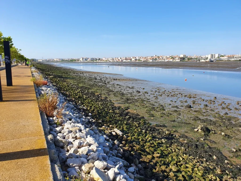 David the Black and Seixal Bay