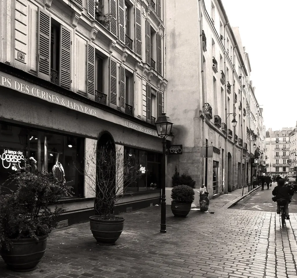 Rue Ferdinand-Duval street view in Paris.