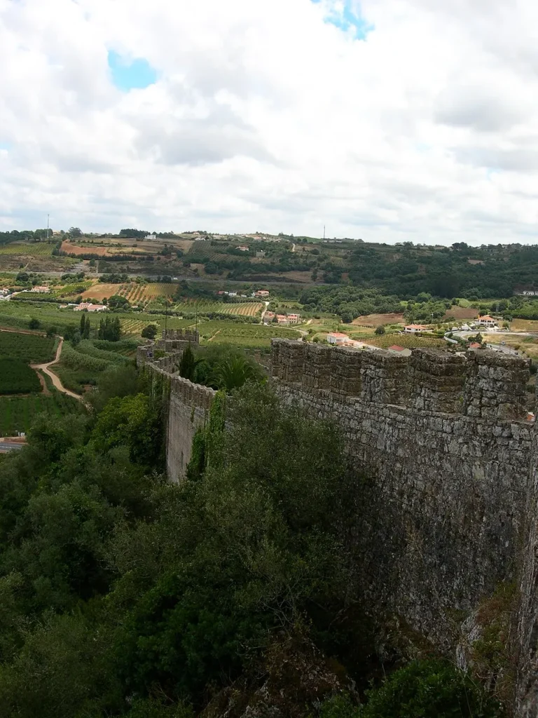 Historic urban fabric of Óbidos.